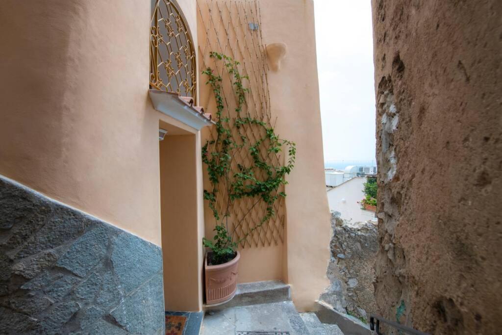 Il Giardino Dei Limoni Villa Positano Bagian luar foto